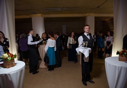 IMG 9784