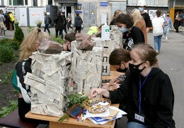 IMG 7461